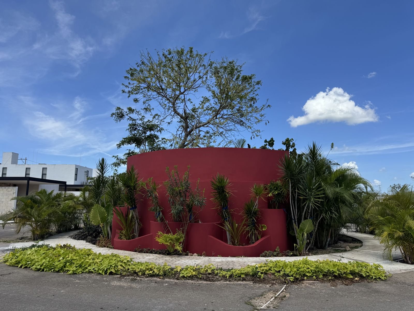 Jardín contemplativo con muro rojo en la privada Oviedo