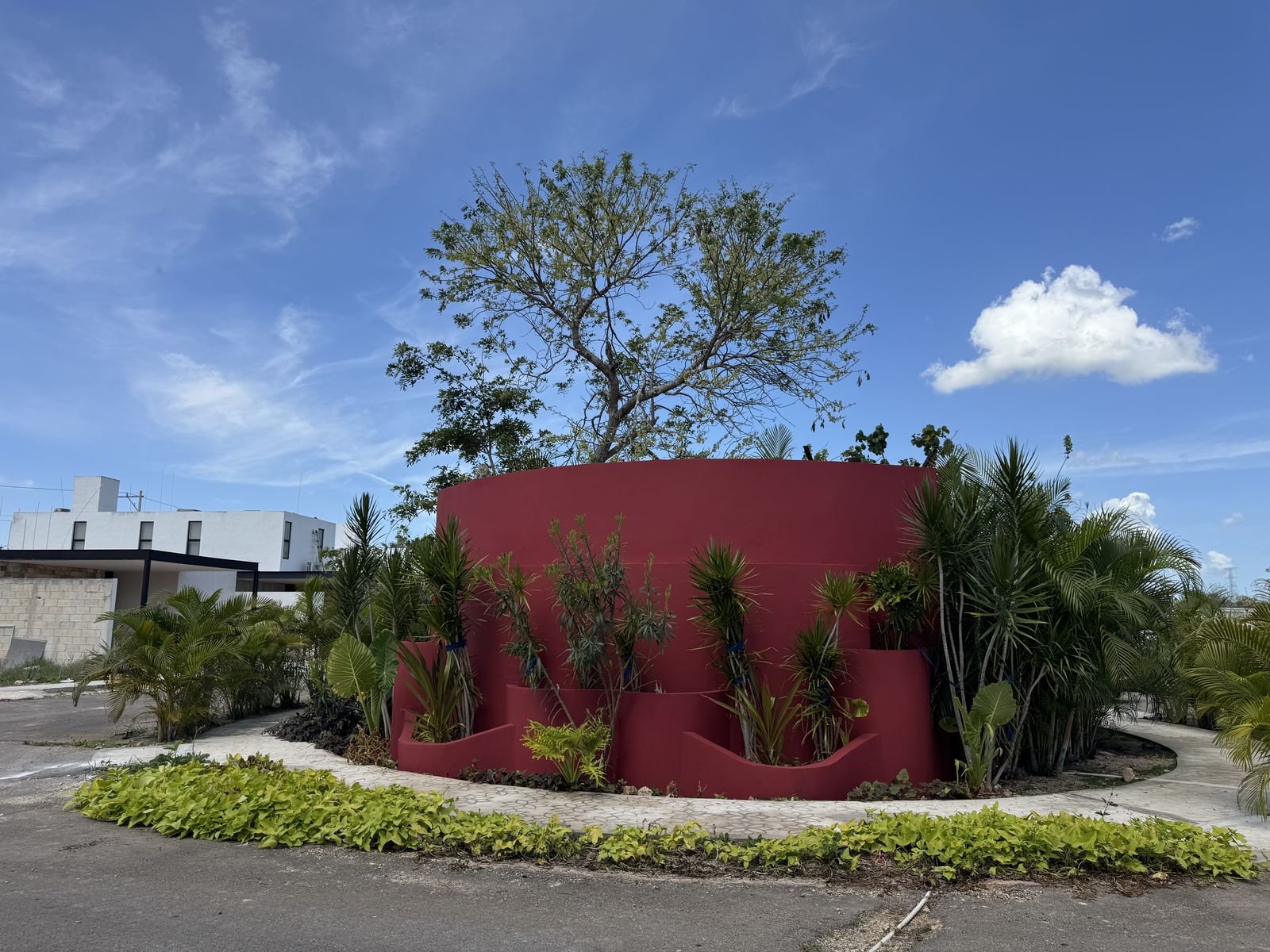 Jardín contemplativo con vegetación en la privada Oviedo